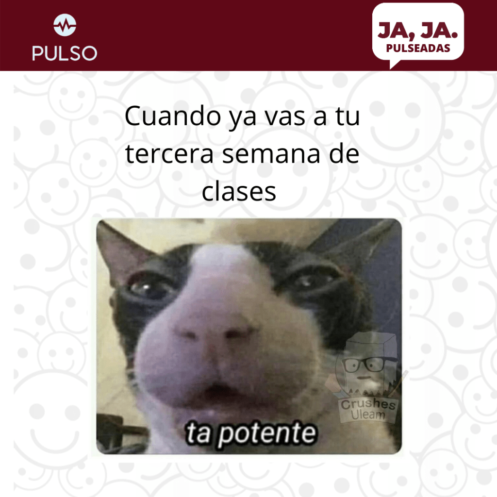 Lunes y regreso a clases Sin ganas con sueño y ustedes?? Excelente inicio  de semana y espero les vaya de maravilla a sus hij@s #lunes  #lunesdemotivacion #felizlunes #monday #mondaymotivation ..., image size:1024x1024