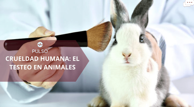CRUELDAD HUMANA: EL TESTEO EN ANIMALES