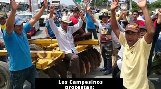Los Campesinos protestan Y buscan precios justos
