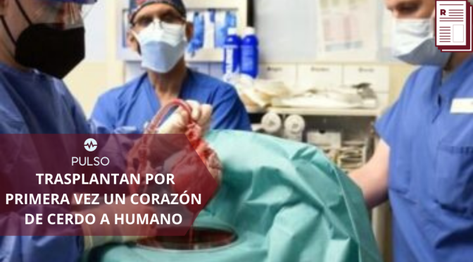 PRIMER TRASPLANTE DE CORAZÓN DE CERDO A UN HUMANO